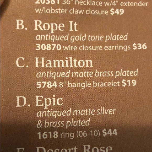 NWT Hamilton Bracelet by Premier Designs - Picture 3 of 7